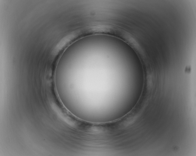 X0000114630490200910201423