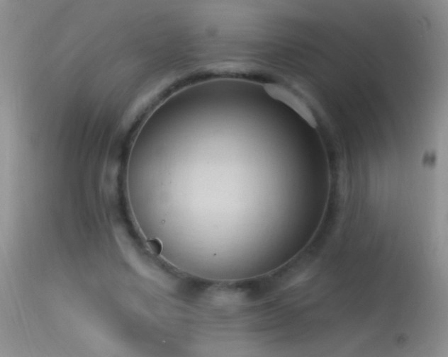 X0000114630491200910201423