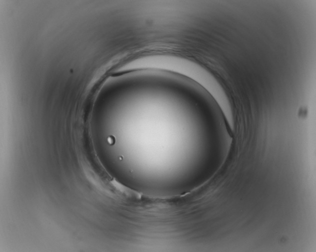 X0000114630492200910201423