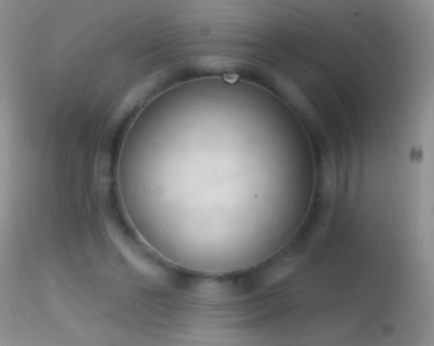 X0000114630494200910201423