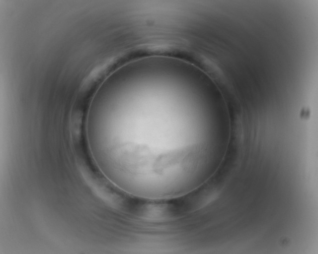 X0000114630495200910201423