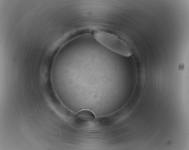 X0000114630496200910201423