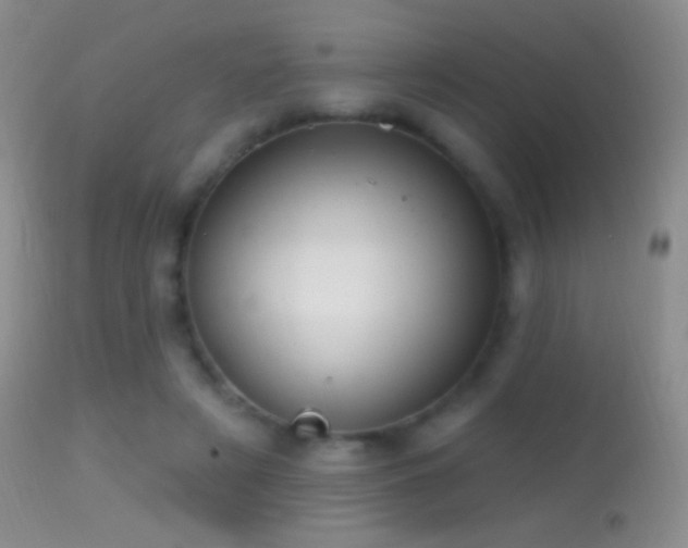 X0000114630497200910201423