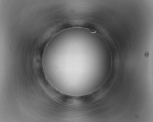 X0000114630498200910201423