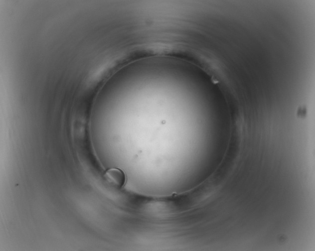 X0000114630499200910201423