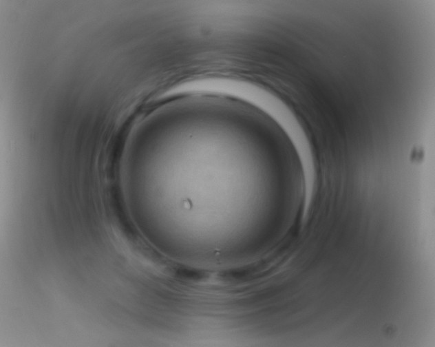 X0000114630504200910201423