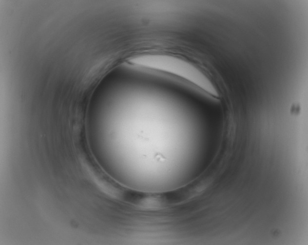 X0000114630505200910201423