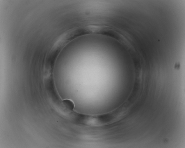 X0000114630507200910201423