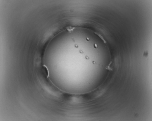 X0000114630508200910201423