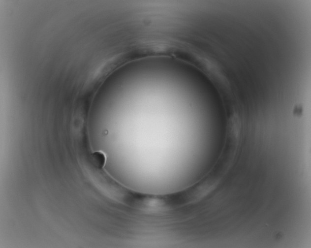 X0000114630509200910201423