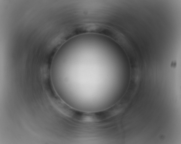 X0000114630510200910201423