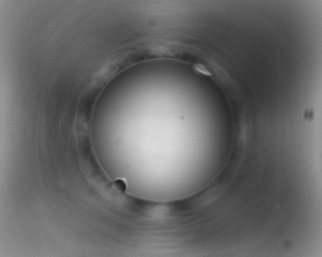 X0000114630513200910201423