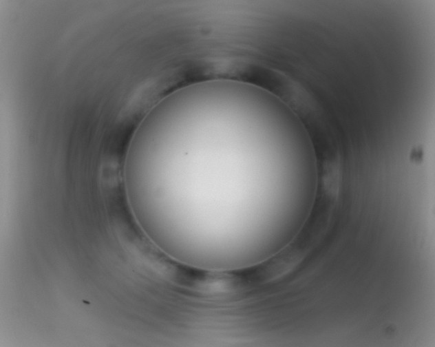 X0000114630514200910201423