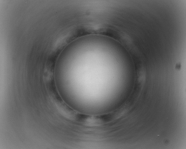 X0000114630515200910201423