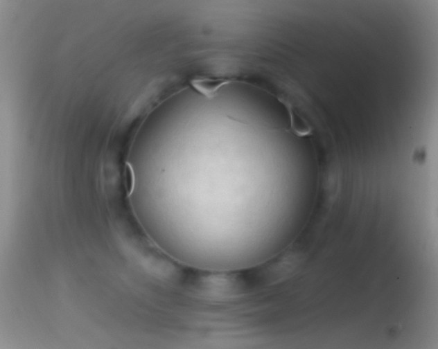 X0000114630516200910201423