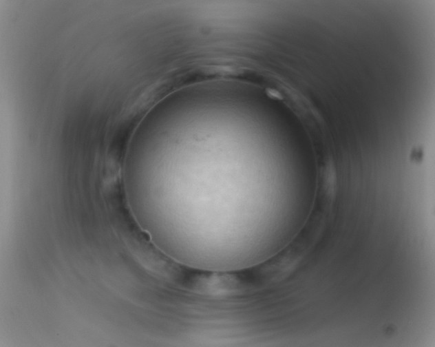 X0000114630517200910201423