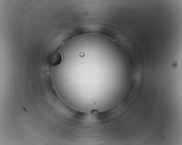 X0000114630518200910201423