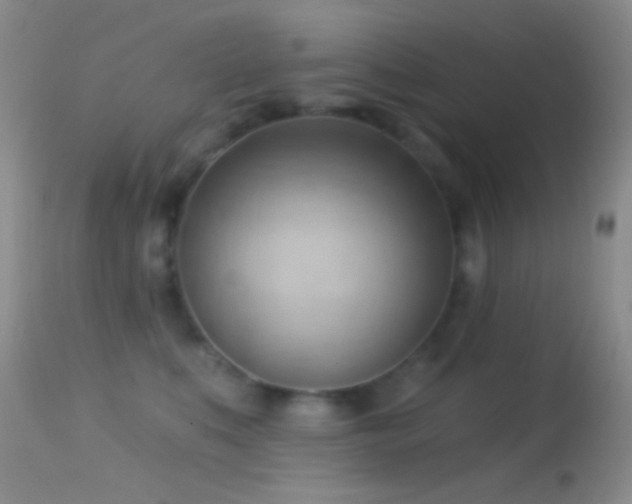 X0000114630519200910201423