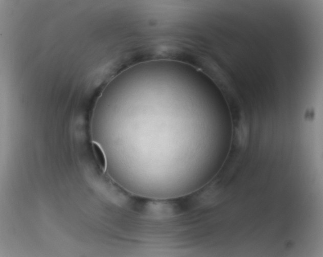 X0000114630520200910201423