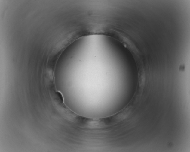 X0000114630521200910201422