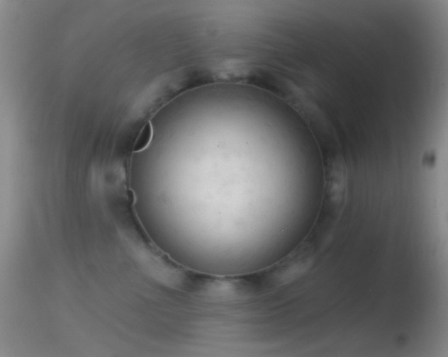 X0000114630523200910201422