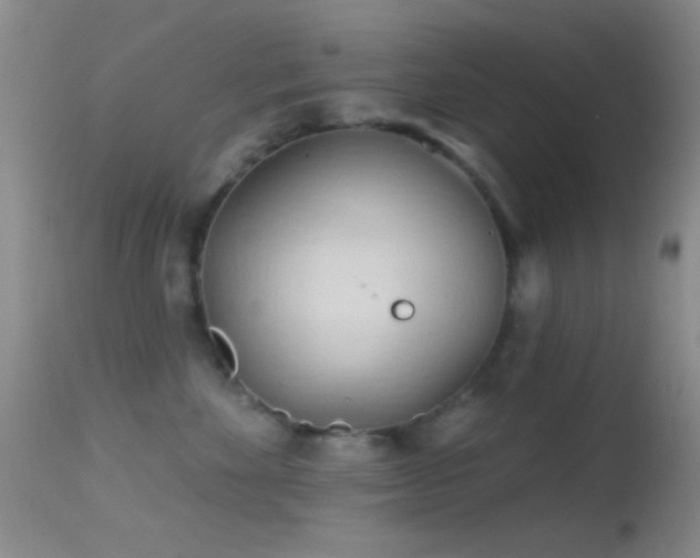 X0000114630524200910201422