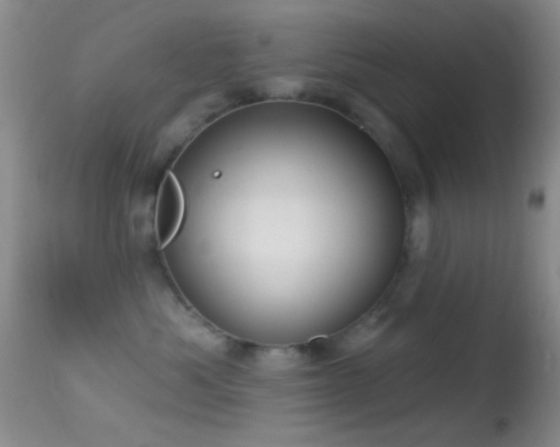 X0000114630525200910201422