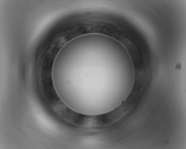 X0000114630526200910201422