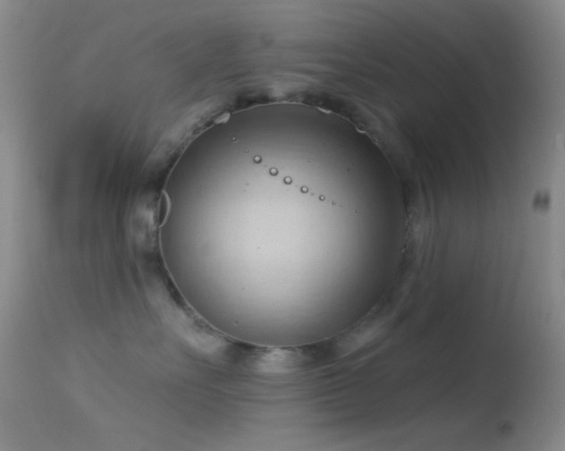 X0000114630527200910201422