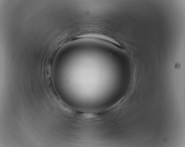 X0000114630528200910201422