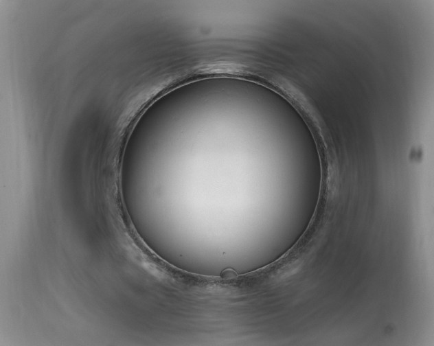 X0000114630529200910201422