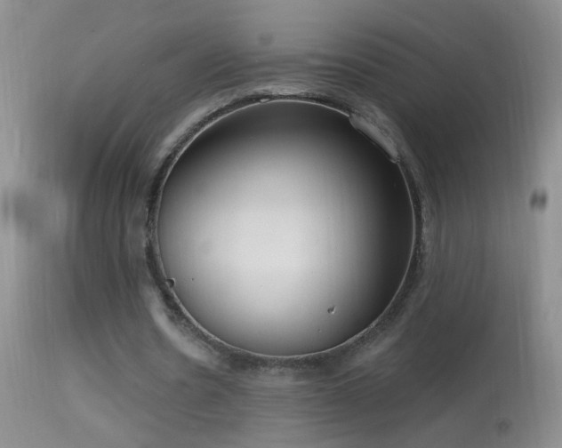 X0000114630530200910201422