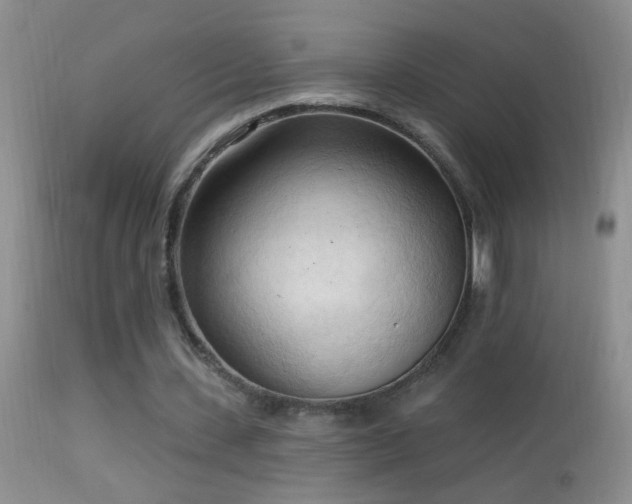 X0000114630531200910201422