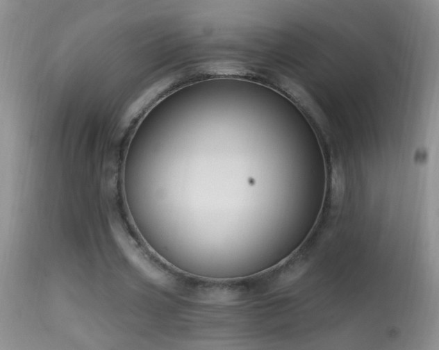 X0000114630533200910201422