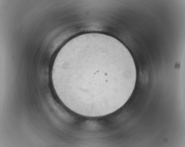 X0000114630534200910201422