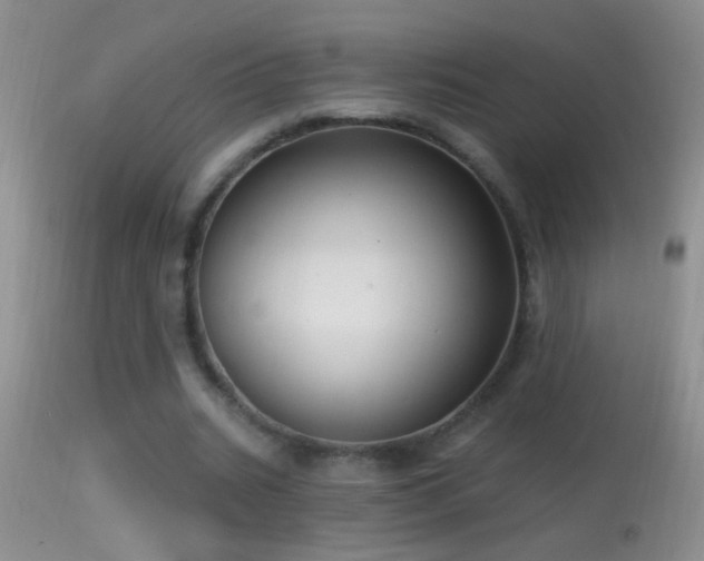 X0000114630535200910201422