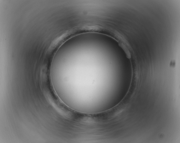 X0000114630538200910201422