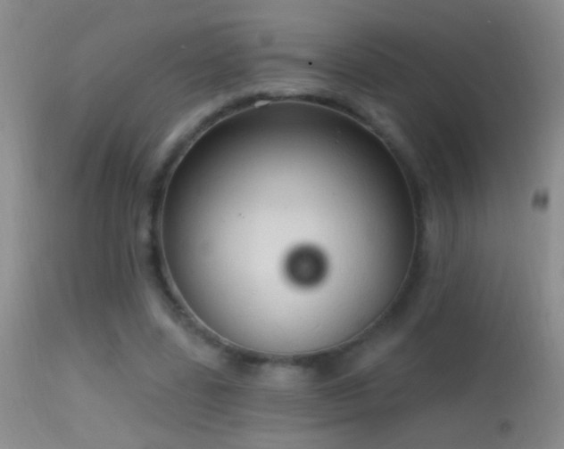 X0000114630539200910201422