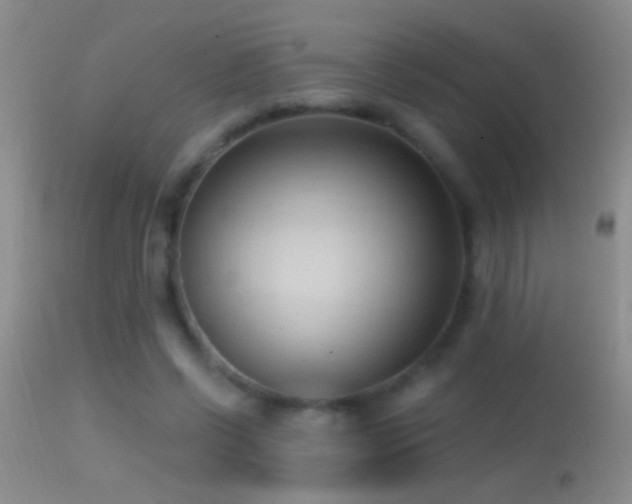 X0000114630542200910201422