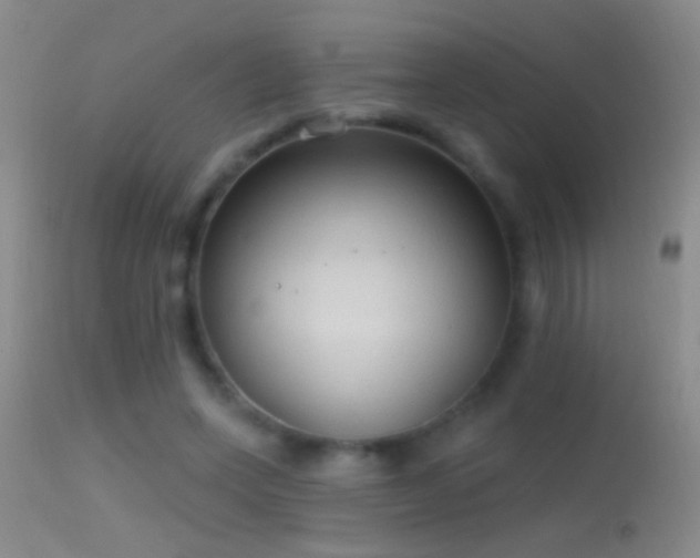 X0000114630543200910201422