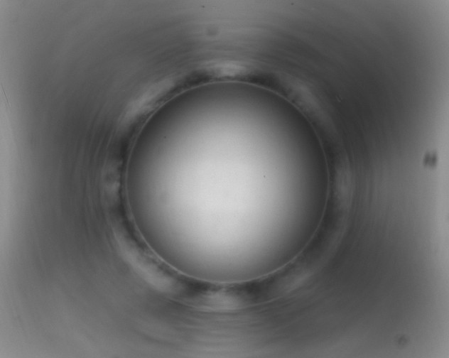 X0000114630545200910201422