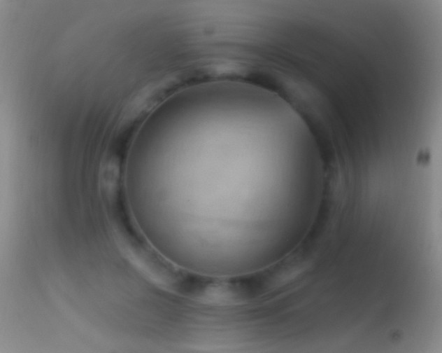 X0000114630550200910201422