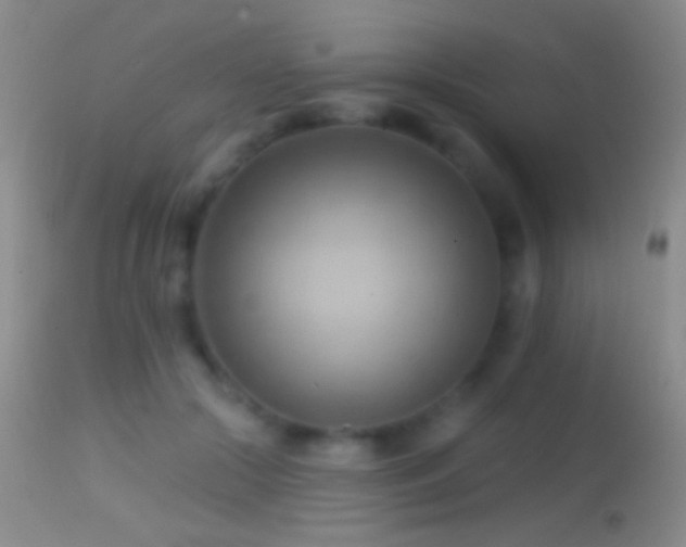 X0000114630553200910201422