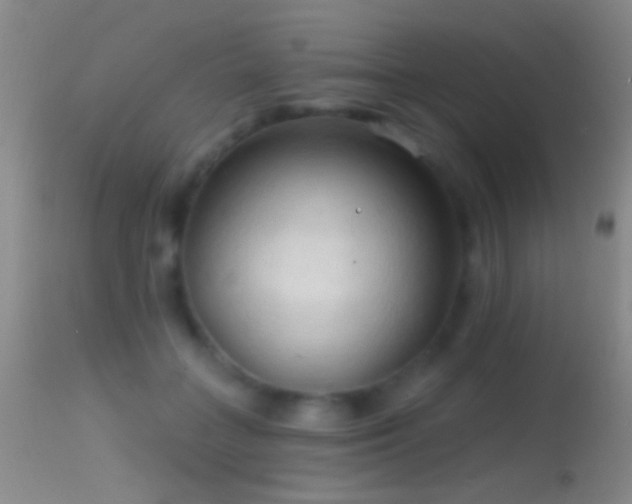 X0000114630555200910201422