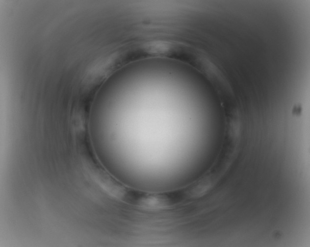 X0000114630561200910201422