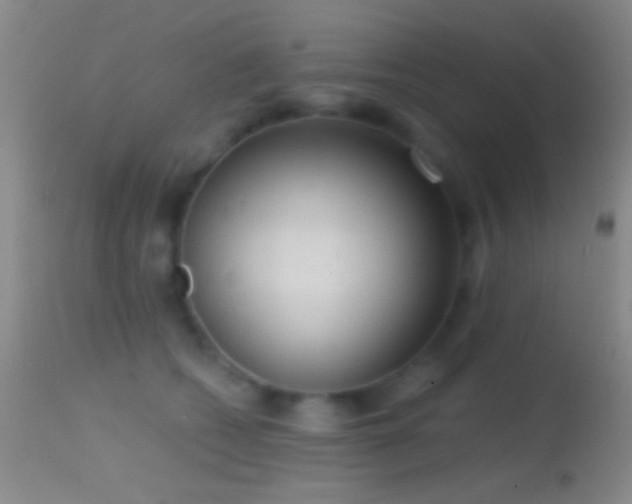 X0000114630562200910201422