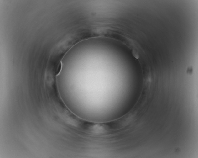 X0000114630566200910201422