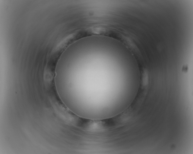 X0000114630569200910201422