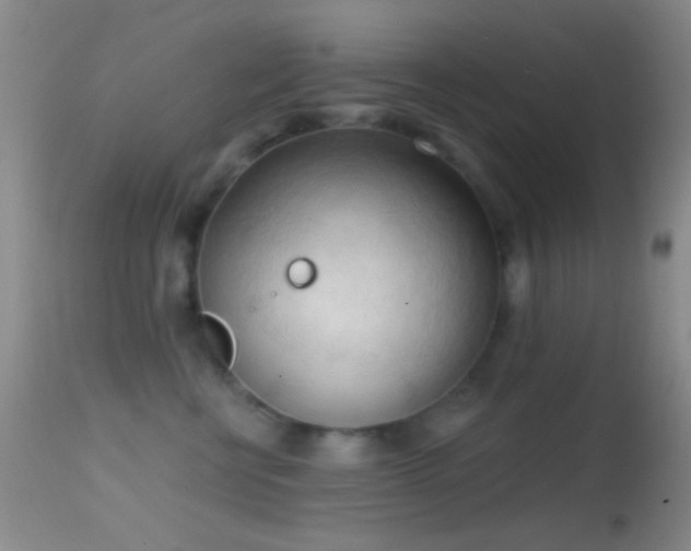 X0000114630570200910201422