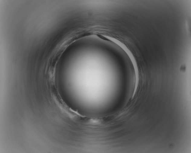 X0000114630573200910201422